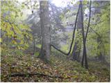 Spodnje Stranice (graves of hundred hostages) - Stolpnik